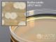 TSA w/6% Yeast Extract; HDx, 15x100mm plate R