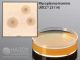 SP4 Agar w/Glucose; HDx, 15x60mm plate      R