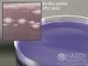 D/E Neutralizing Agar; HDx, 15x100mm           R