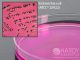 m Endo Les Agar; HDx, 15x100mm plate     R