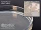 Letheen Agar Plate; HDx, 15x100mm plate R
