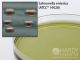Tergitol 7 Agar w/TTC; HDx, 15x100mm plate     R