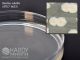 TSA, USP; HDx, 15x150mm plate, R