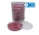 VRBA w/MUG; HDx,15x100 biplt 10/pk *R