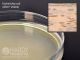 BHI Agar, 60ml; HDx, 25x100mm plt 5/pk R