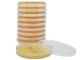 Sabdex Agar, Emmons; HDx, 15x100mm plate R