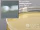Inhibitory Mold Agar,60ml; HDx, 25x100mm plt 5/pk R