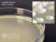 Sabdex Agar w/Lec & Tween; HDx, 15x100mm plate     R