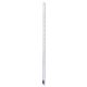 Thermometer, Blue Liquid, -20 to 110°C, Total Immersion, encapsulated in FEP, 12in