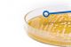 Inoculating Needle/Loops 10uL Flexible, Sterile pk1000, Blue