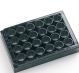 24-well clear bottom PS microplate Black, Tissue Culture Treated. With Lid.Individually packed.