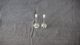 Conical Graduate,Td, Scalex2,5ml