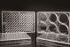 6 Well Low Evap EDGE Plate, Flat Bottom, TC, Sterile, 1/pk, 50/cs