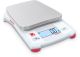 Portable Balance CX221