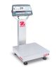 Bench Scale, D52P25RQR1