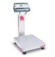 Bench Scale, D52P25RTR1