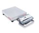 Bench Scale, D52P25RTR5