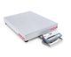 Bench Scale, D52P125RQV5