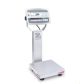 Bench Scale, D52XW25WQR6