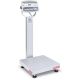 Bench Scale, D52XW50WQL7