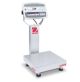 Bench Scale, D52XW50RQR1