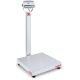 Bench Scale, D52XW250RQV3