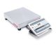 Bench Scale, D52XW125RQL5