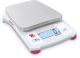 Portable Balance CX2200P