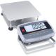 Bench Scale i-D61PW50K1L5
