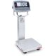 Bench Scale i-D61PW5WQS6