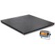 Floor Scale i-DF33P2500B1L
