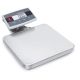 Shipping Scale i-C52M15R AM