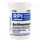 Actinomycin D, 5 MG CAS# 50-76-0