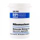 Ribonuclease A, 100 MG CAS# 9001-99-4