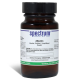 Albumin, Bovine, Fraction V, Lyophilized Powder, 10g, CAS# 9048-46-8