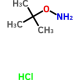 O-tert-Butylhydroxylamine Hydrochloride, 1g, CAS# 39684-28-1