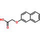 (2-Naphthoxy)acetic Acid, 10kg, CAS# 120-23-0
