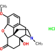 Oxycodone Hydrochloride (CII), USP, 5g, CAS# 124-90-3