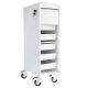 6 Shelf Narrow Locking Cart