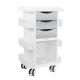 Core DX Cart with Metallic Silver Drawers, Sliding Door, and Railtop