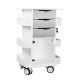 Core DX Cart with Metallic Silver Drawers and Hinged Door