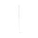 United Scientific® Disposable Borosilicate Glass 7.0 Pasteur Pipettes, Length: 229 mm, Non-Sterile