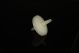 Vent Filter，0.22 μm，45 mm diameter, Individually Wrapped, Sterile, 1/pk, 5/cs
