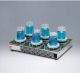 MAGNETIC STIRRER WITH HOT PLATE X 6 (300~1500 rpm) 220V with external transformer