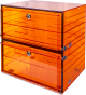 Amber acrylic desiccators 18in x 18in x 18in high, two (2) cubicles