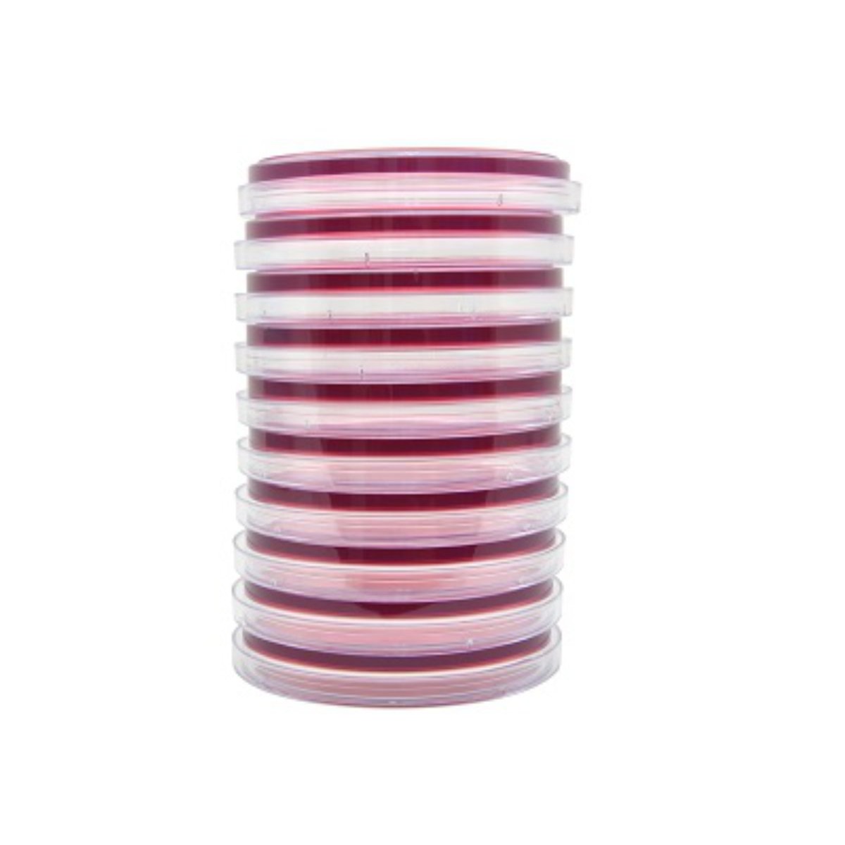 MacConkey with Ciprofloxacin HDx,15x100mm pltPK10
