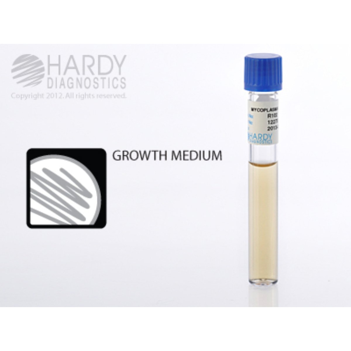 Mycoplasma Broth; HDx, 13x100mm           R