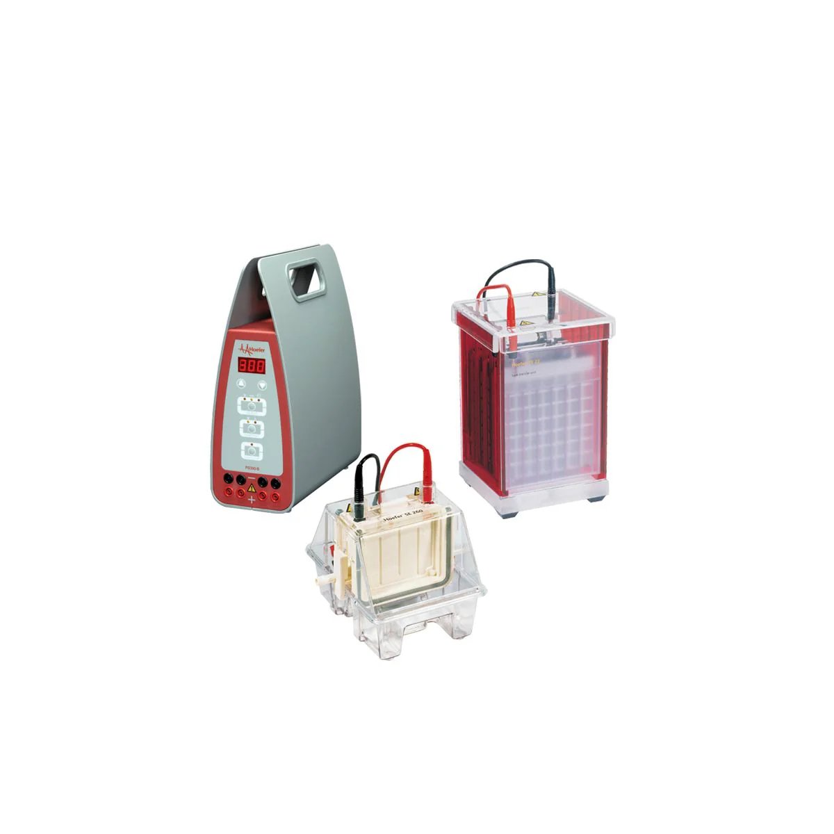 Mini Western Blot Combo Pkg (Se260-10A-.75,Te22,Ps300B)