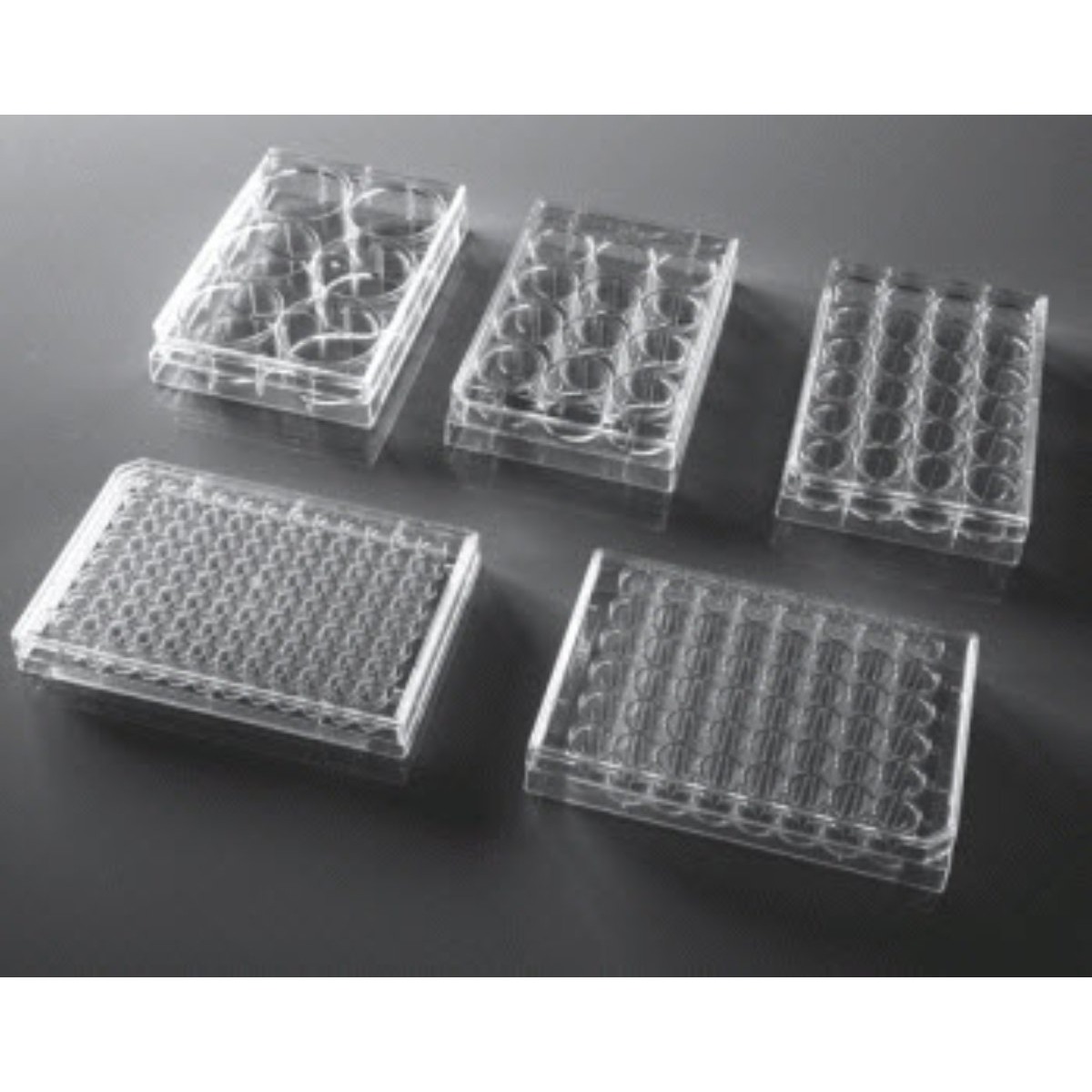 96 Well Cell Culture Plate, U-bottom, Non-Treated, sterile 1/pk, 100/cs