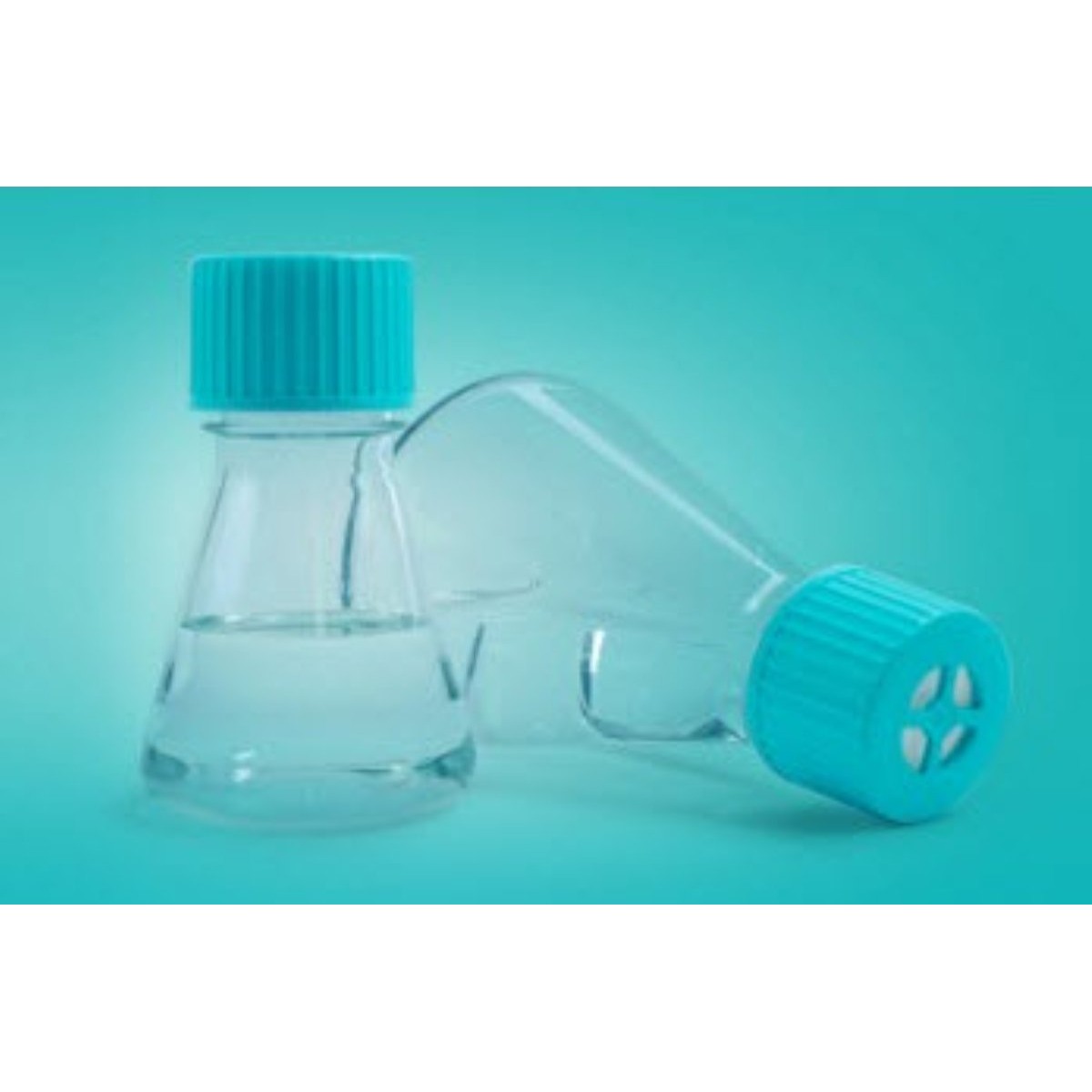 125ml PETG Erlenmeyer Flask, Flat base, Vent Cap, Sterile,1/pk, 24/cs